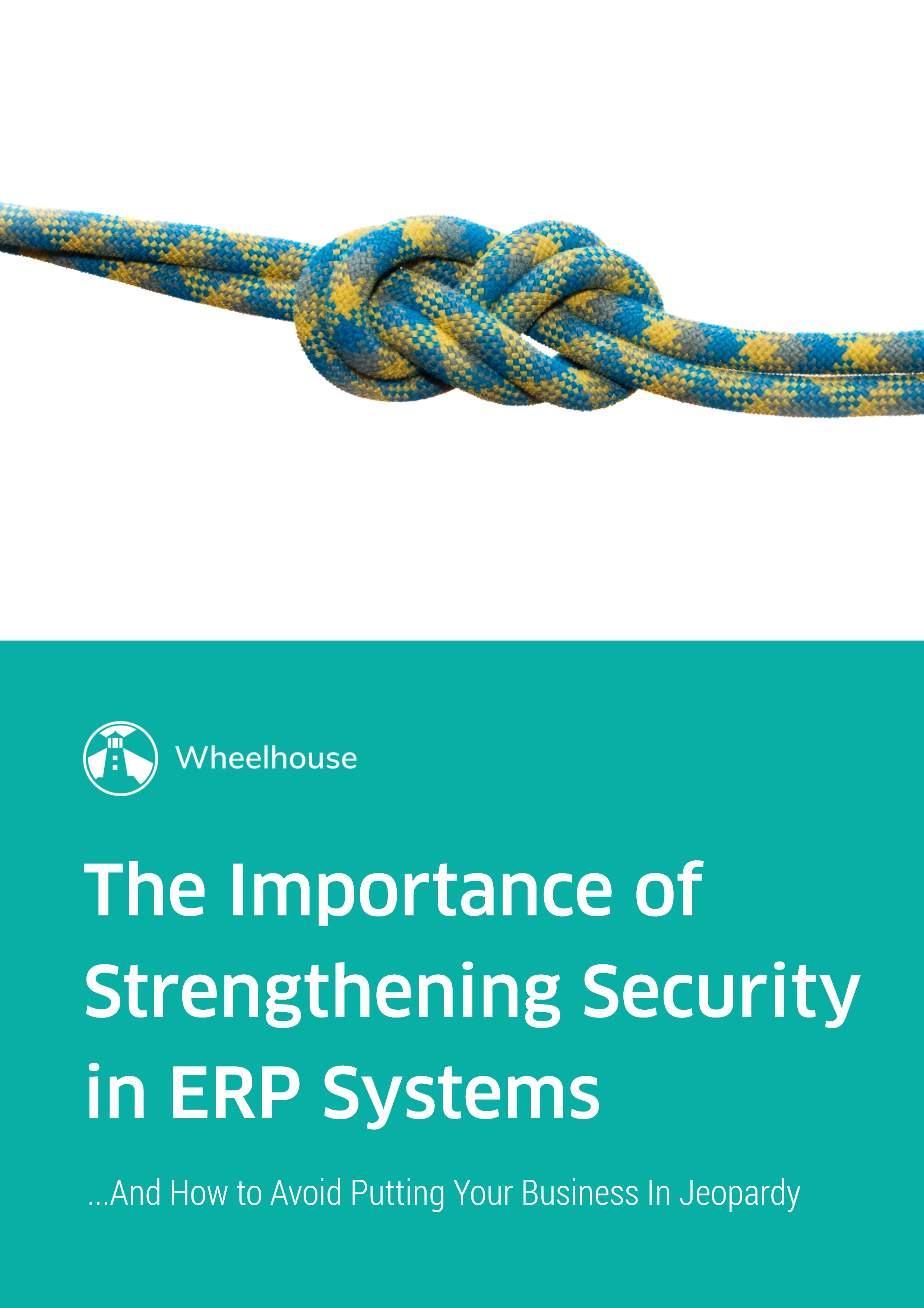 The Importance of Strengthening Security in ERP Systems the-importance-of-strengthening-security-in-erp-systems