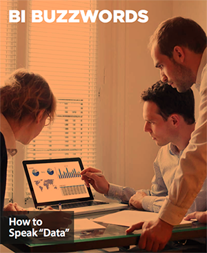 BI Buzzwords bi-buzzwords